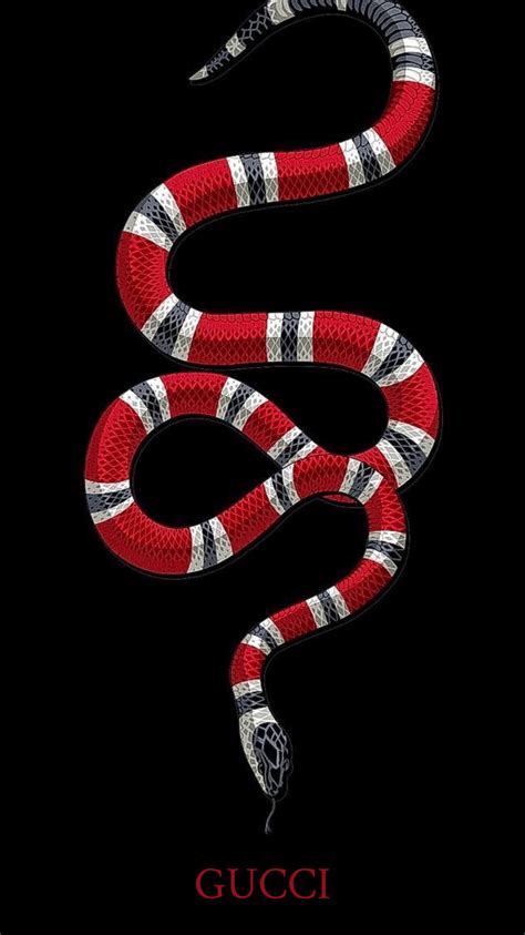 why does gucci use snakes|Gucci snake shape.